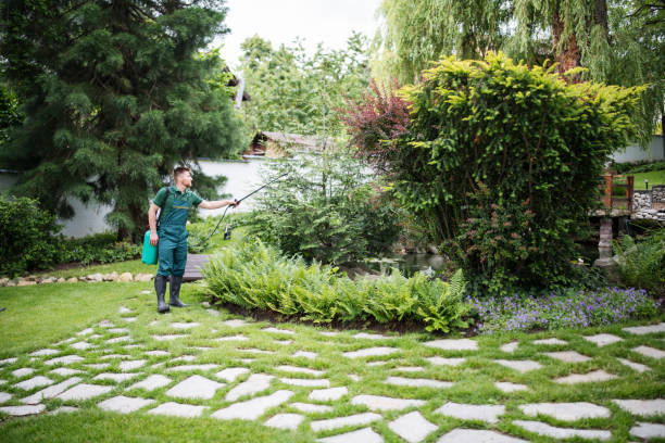 Best Insect Control  in Crystal City, TX