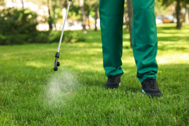 Best Pest Control Cost  in Crystal City, TX