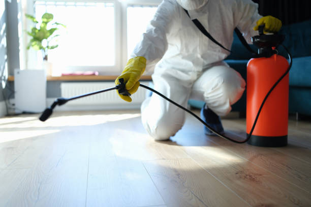 Best Flea Control Services  in Crystal City, TX