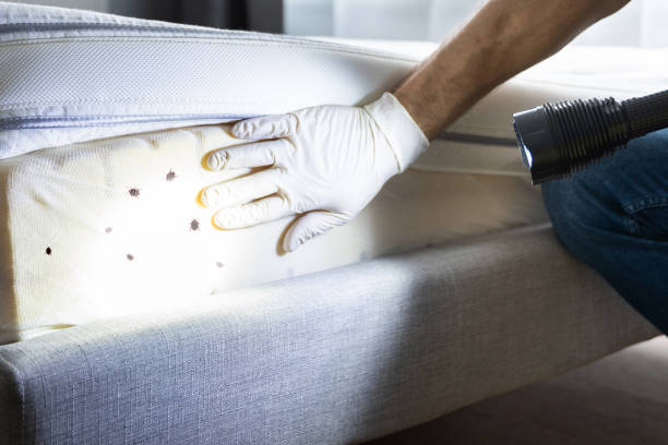 Best Cockroach Control Services  in Crystal City, TX