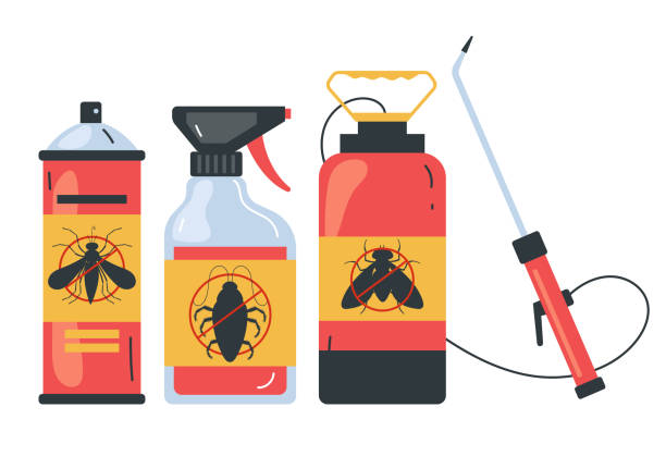 Professional Pest Control in Crystal City, TX