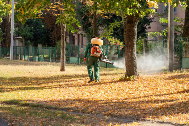 Reliable Crystal City, TX Pest Control Solutions