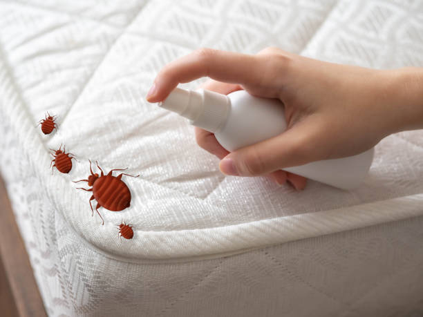 Pest Control Cost in Crystal City, TX
