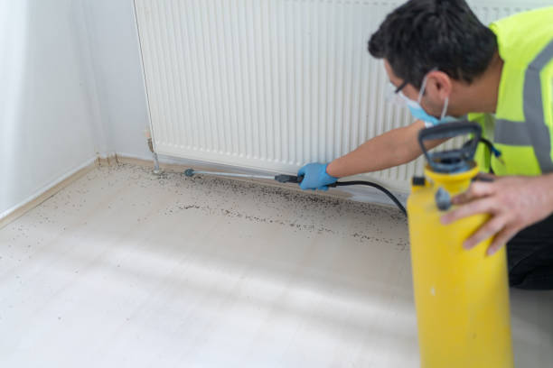Best Residential Pest Control  in Crystal City, TX