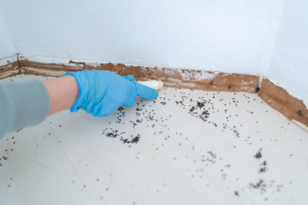 Wildlife Control Services in Crystal City, TX